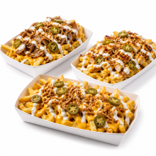 LOADED FRIES